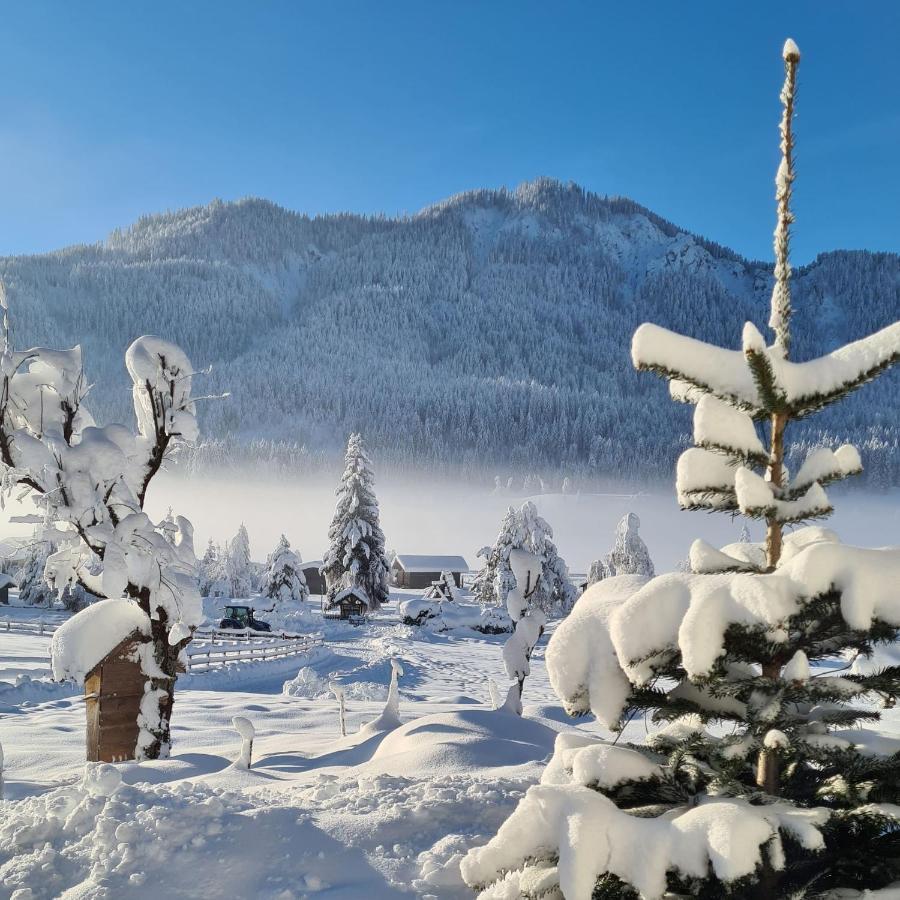 Hotel Winkler-Tuschnig Weissensee Kültér fotó