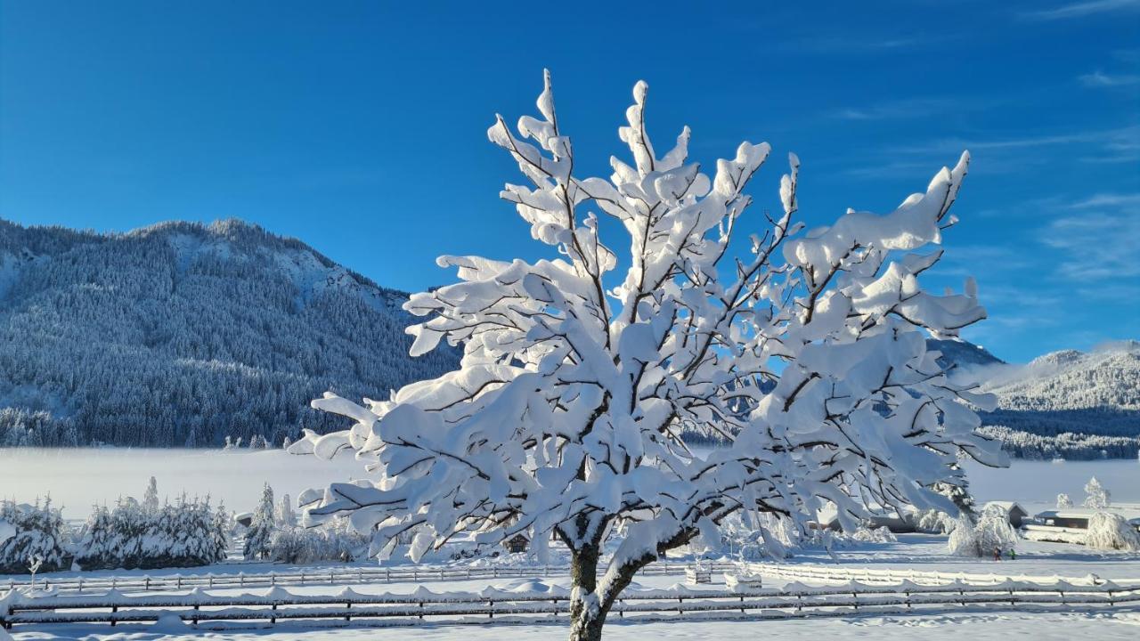 Hotel Winkler-Tuschnig Weissensee Kültér fotó